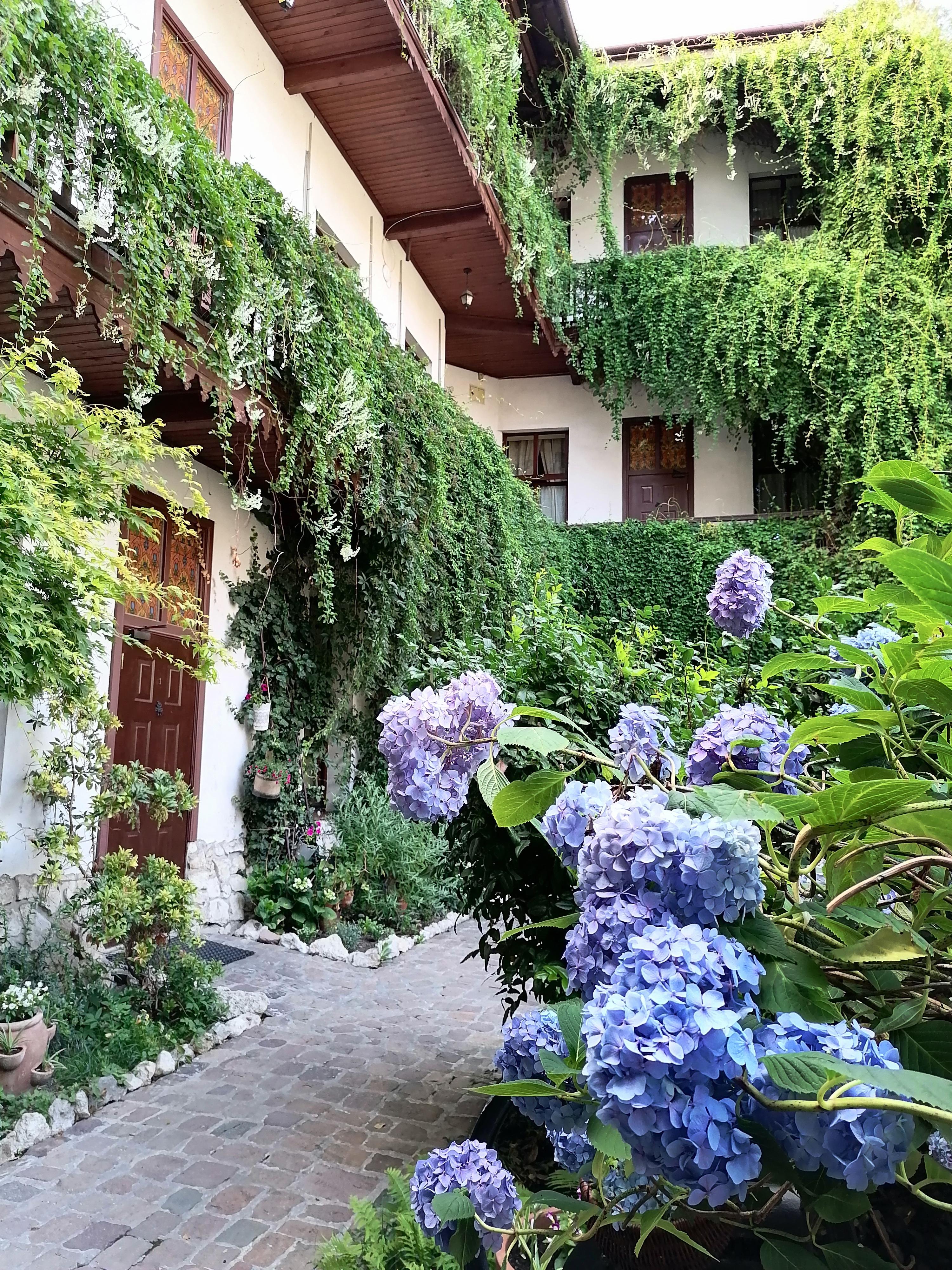 Globtroter Guest House Cracovia Esterno foto
