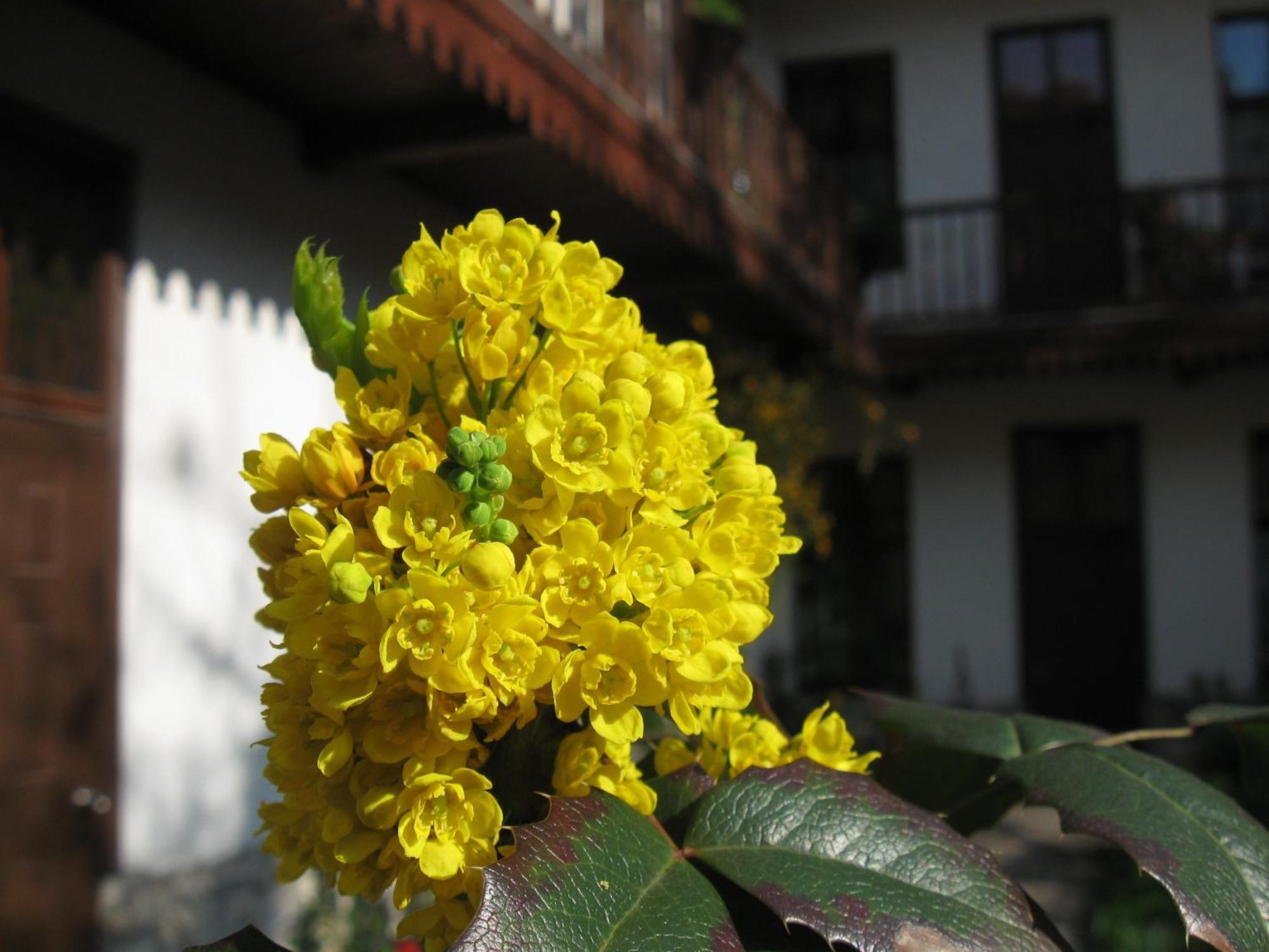Globtroter Guest House Cracovia Esterno foto