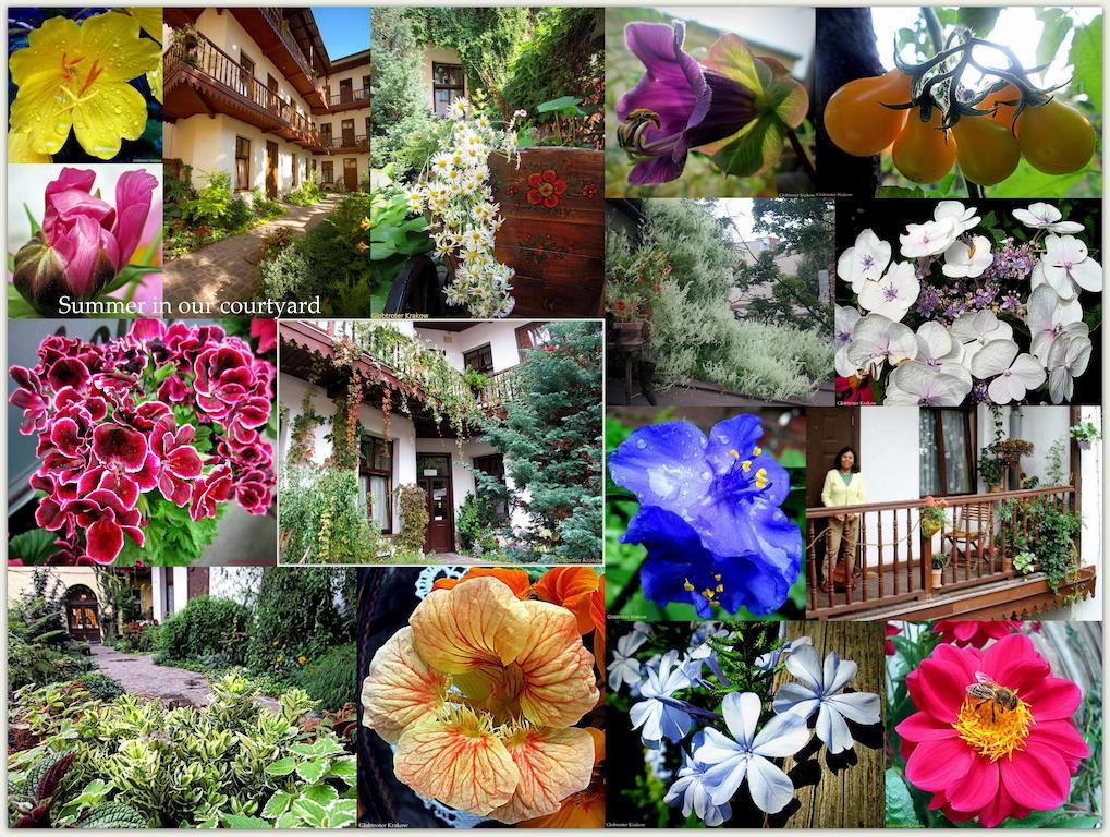 Globtroter Guest House Cracovia Esterno foto